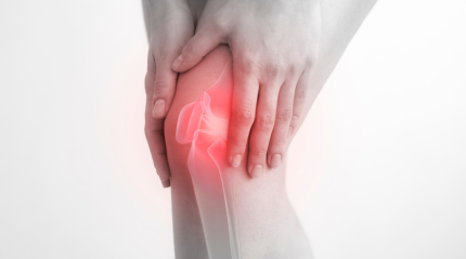 The Wonders of Joints: How to Keep Your Body Moving