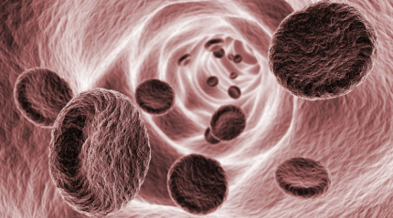 Exploring the Intricacies of the Vessels in our Body