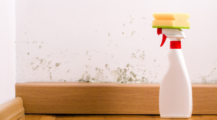 The Ultimate Guide to Mold Removal: Effective and Natural Ways to Keep Your Home Clean and Healthy